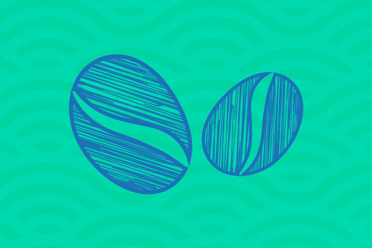 Coffee:
How it's made